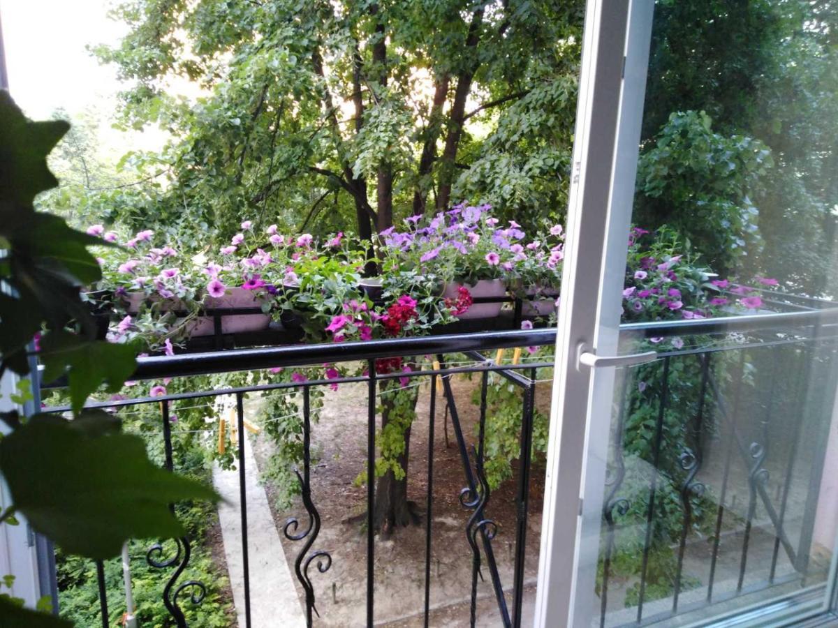 Ana Apartment Novi Sad Dış mekan fotoğraf