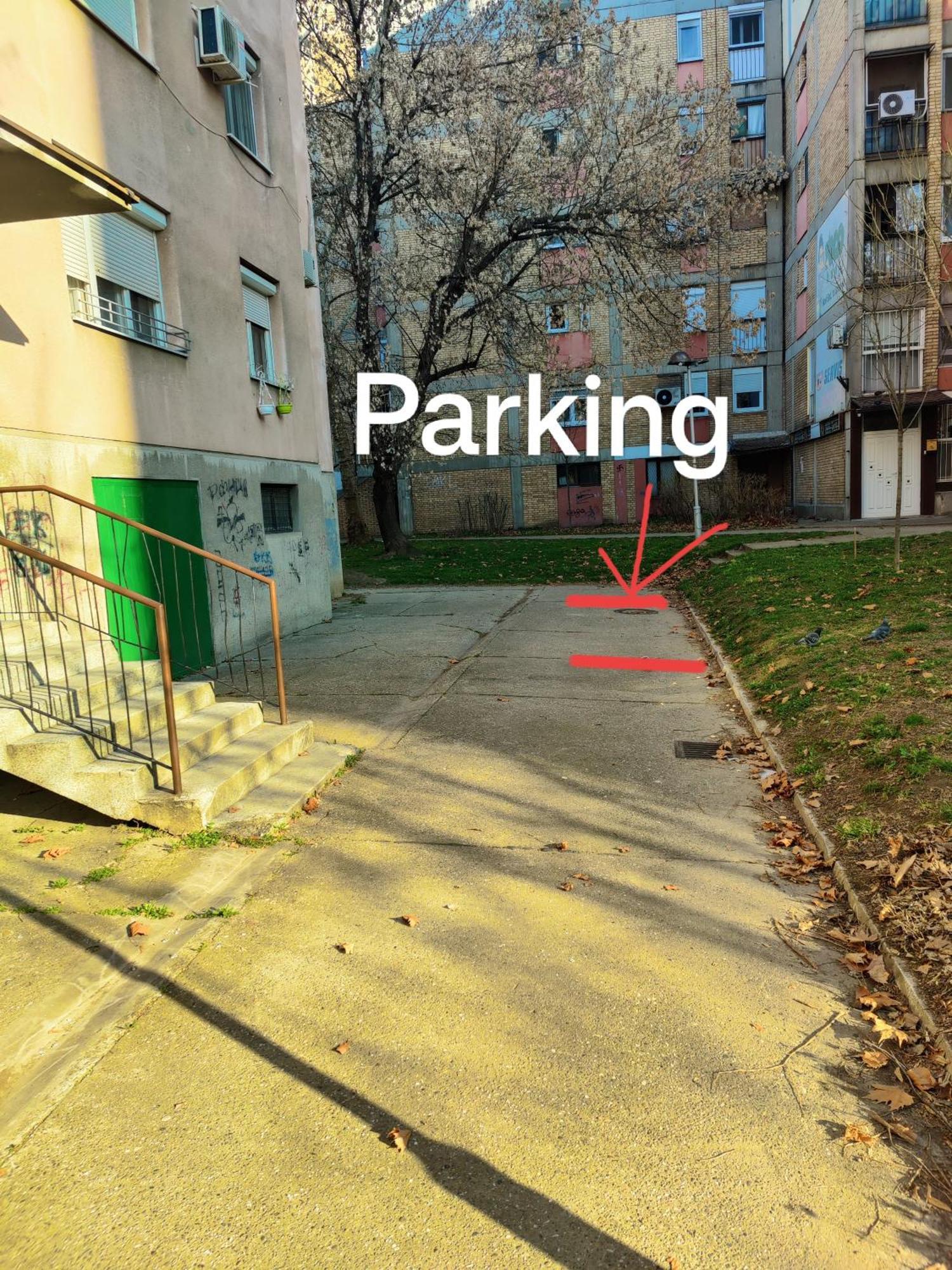 Ana Apartment Novi Sad Dış mekan fotoğraf